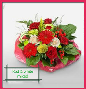 red-&-white-mixed