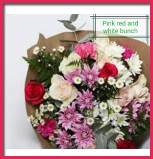 pink-red-&-white-bunch